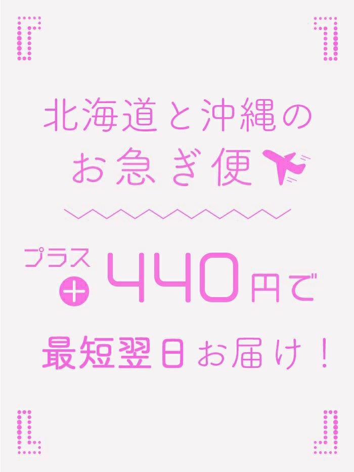 速達 北海道へのお急ぎ便 bunny-express